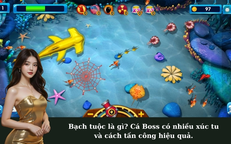 Bạch tuộc là gì? Cá Boss có nhiều xúc tu và cách tấn công hiệu quả.