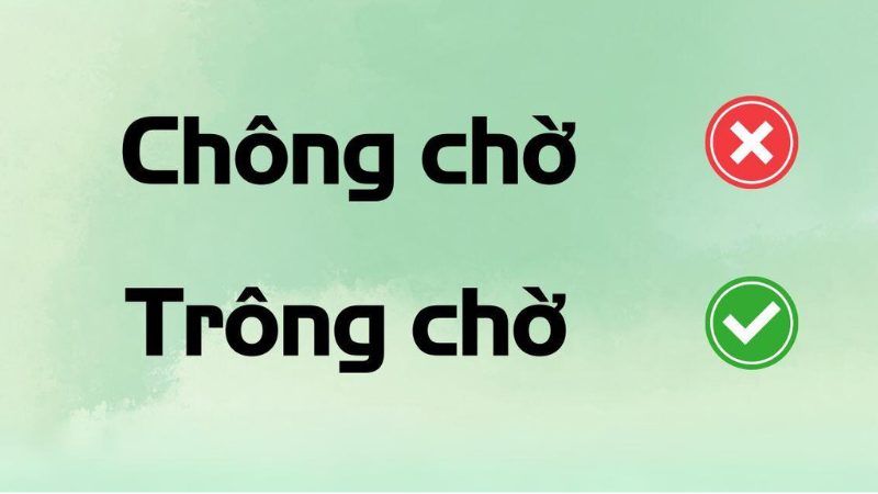 So sánh trông chờ và chông chờ, minh họa cách viết đúng chính tả tiếng Việt